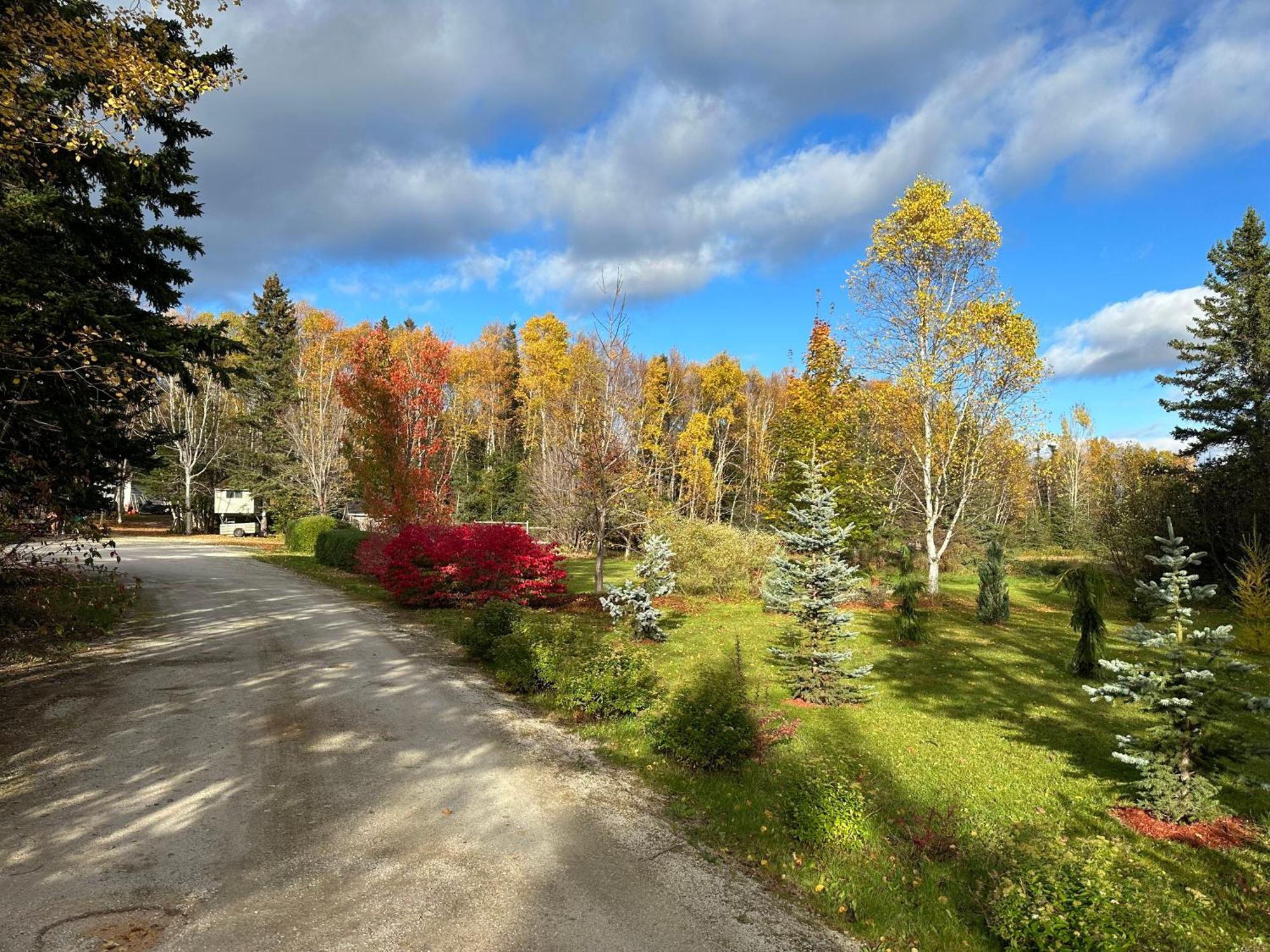 Eden Estate B&B Reidville ภายนอก รูปภาพ